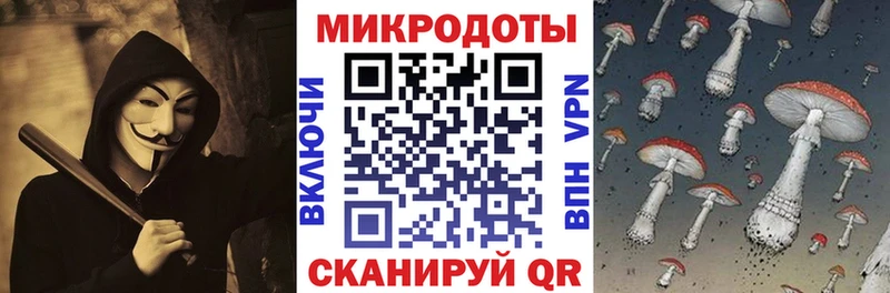 дарк нет какой сайт  Шагонар  Псилоцибиновые грибы мицелий 